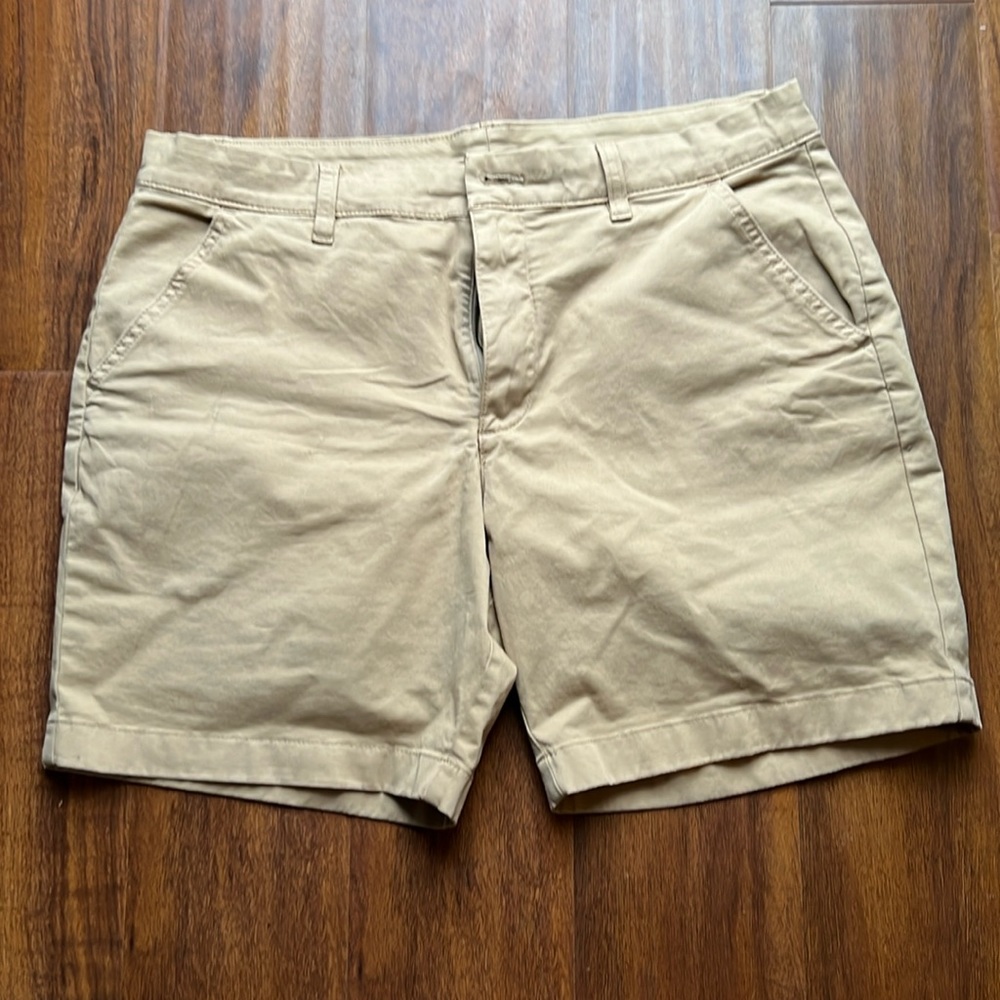 Chubbies brand The Travertines 7" Flat Front (Stretch) sized 33 waist